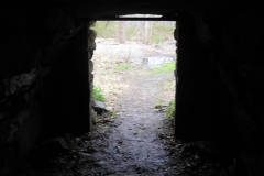 11026238_942965139087444_8007022358704646061_n