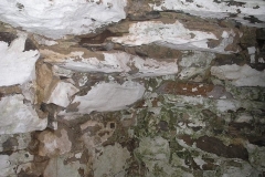 11038732_942965355754089_1649916020915648540_n