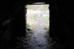 11062311_942965189087439_2893289338886726274_n