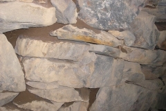 11148582_942965459087412_5036766727687898113_n