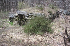 11406401_942965219087436_7330674954494951970_n