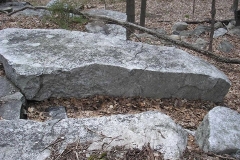 11415306_942965185754106_4111140911280387984_n