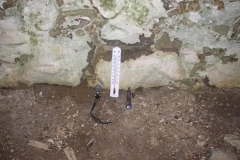 11427744_942965312420760_3064123243374507495_n