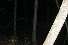 11537809_942965202420771_7389870260726477936_n