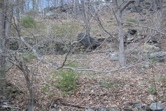 551436_942965352420756_3012663745001568908_n