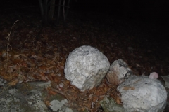 DSC00090 (1)