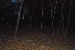 DSC00092 (1)