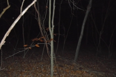 DSC00093 (1)