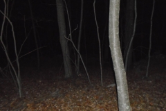 DSC00094 (1)