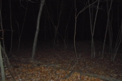 DSC00097 (1)