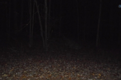 DSC00099 (1)
