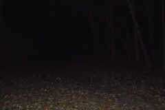 DSC00100 (1)