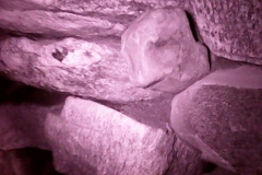 PICT0008