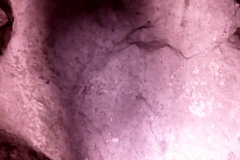 PICT0015