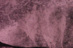 PICT0019