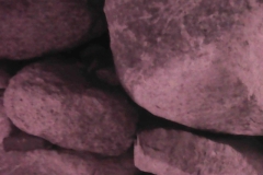 PICT0020