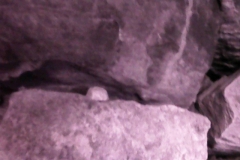 PICT0023
