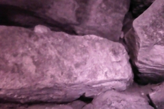 PICT0026