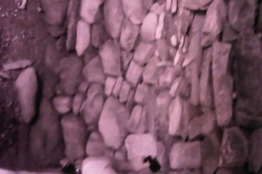 PICT0043
