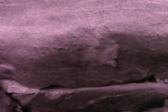 PICT0044