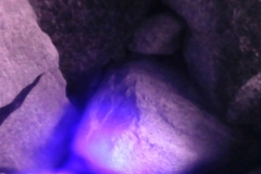 PICT0050