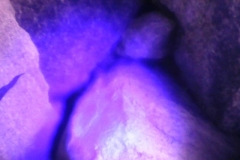 PICT0052