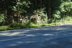 P7262194