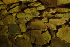 P7262208