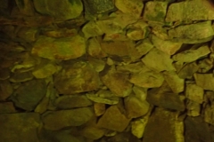 P7262209