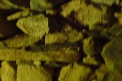 P7262212