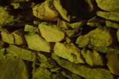 P7262213