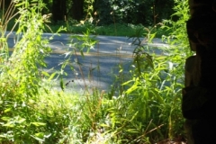 P7262216