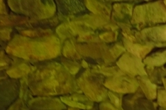 P7262217