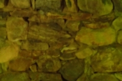 P7262218