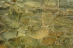 P7262219