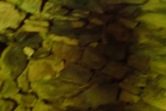 P7262220