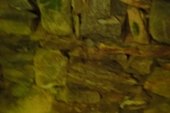 P7262221