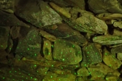 P7262226