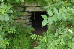 P7262231